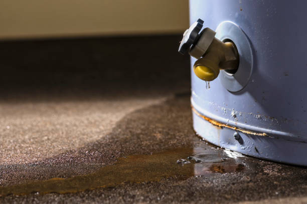 Best Flooded house restoration  in Webberville, MI