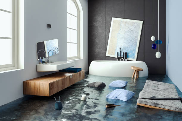 Best Local water damage restoration  in Webberville, MI