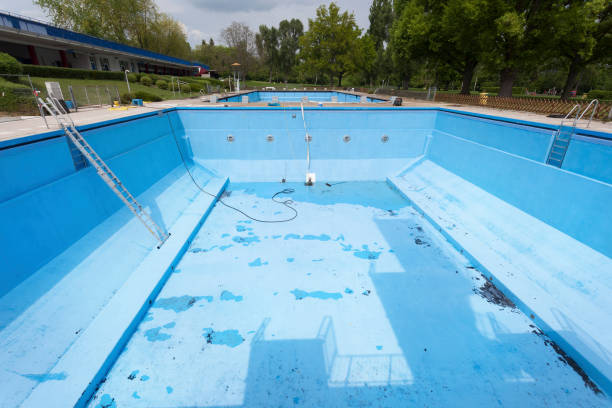 Best Water damage restoration near me  in Webberville, MI