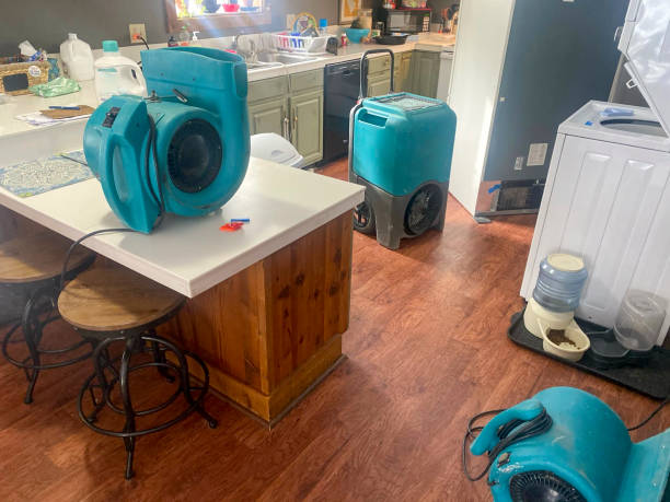 Best Water damage contractors near me  in Webberville, MI