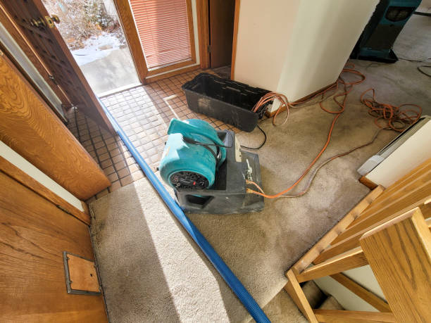 Best 24-hour water damage restoration  in Webberville, MI