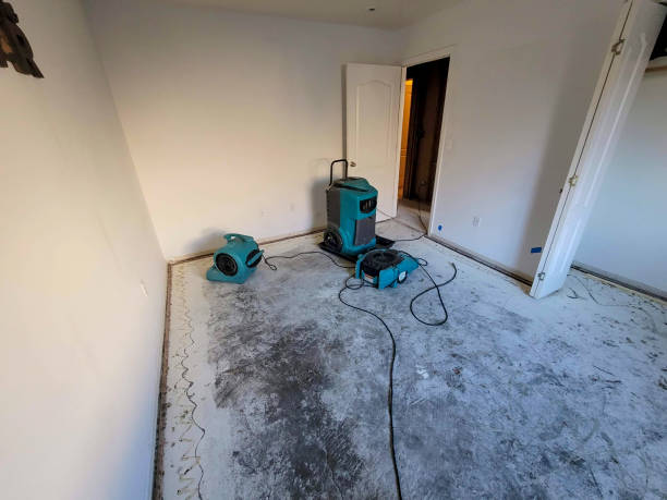 Best Sewage cleanup and water damage restoration  in Webberville, MI