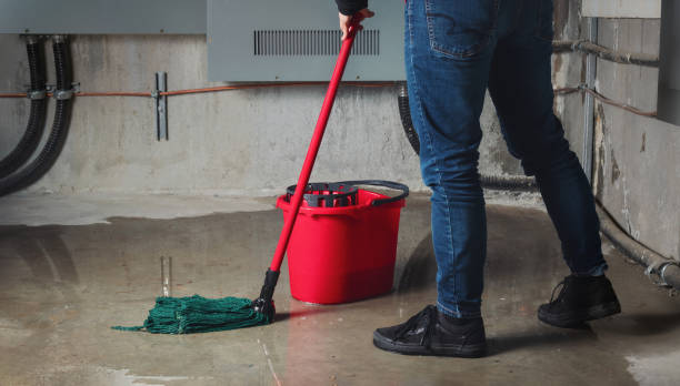 Water damage restoration mold remediation in MI