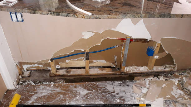  Webberville, MI Water damage restoration Pros