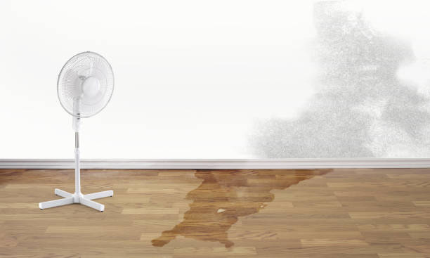 Best Flood restoration services  in Webberville, MI