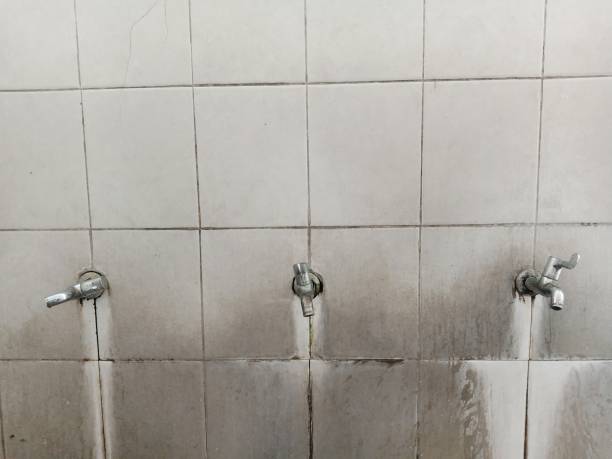 Best Emergency water damage restoration  in Webberville, MI