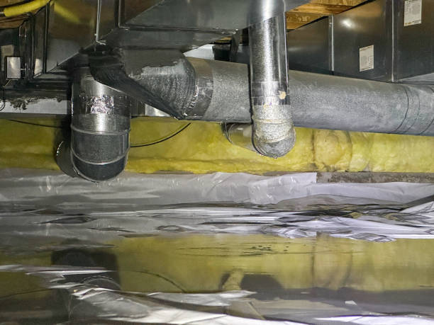 Best Water damage contractors near me  in Webberville, MI