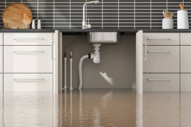 Best Water damage restoration near me  in Webberville, MI