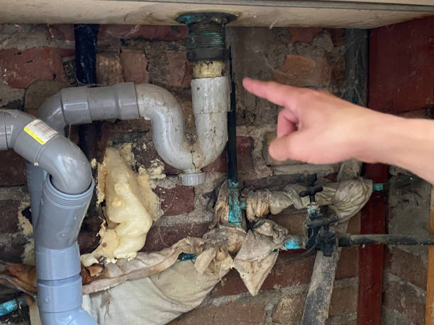 Best Mold removal after water damage  in Webberville, MI