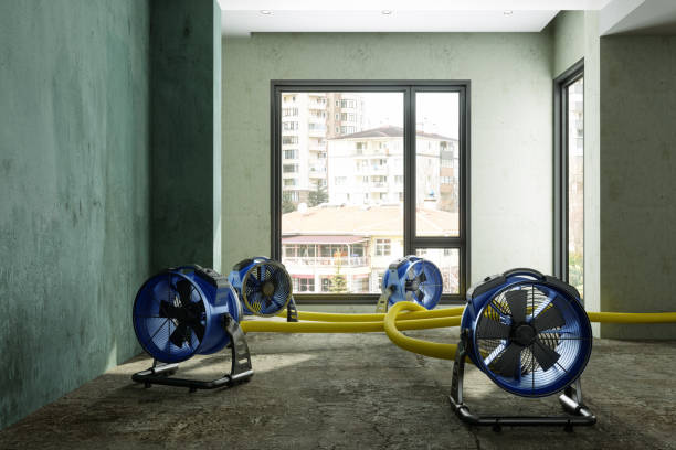 Best Water damage restoration mold remediation  in Webberville, MI