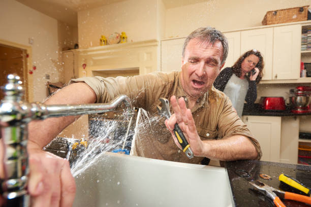 Best Commercial water damage restoration  in Webberville, MI